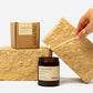 Tanglewood in Sweet Honey & Myrtle ~ Soy Candles